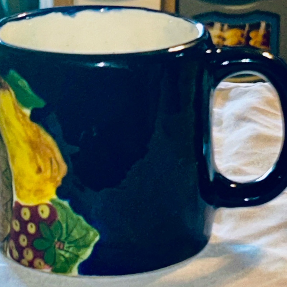 Talavera Mexican Folk Art Fruit Pottery 3.5” Coffee Tea Mug Cup